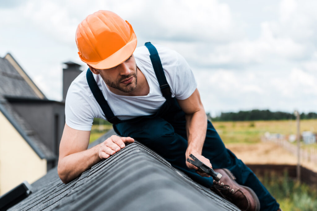 Roof Inspection Services 2 scaled